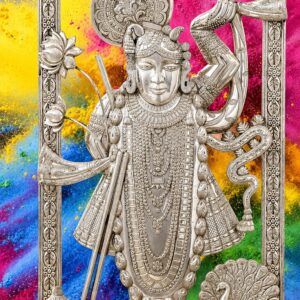 Shreenath Ji Open Background