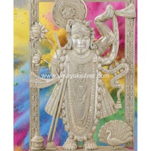 Shreenath Ji Open Background
