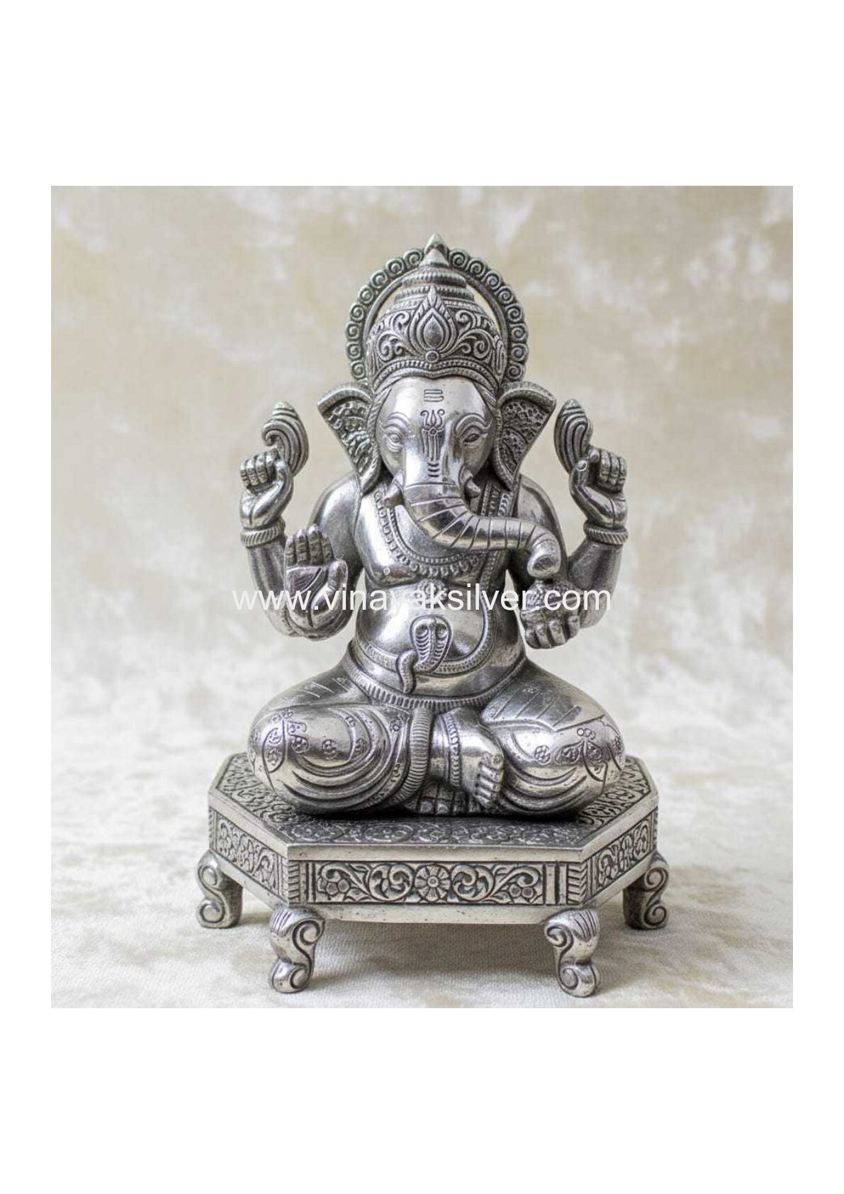 The Deity (Lord Ganesha)