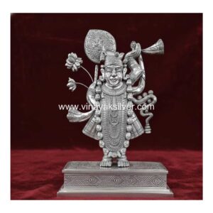 Shrinathji With Peacock Fern